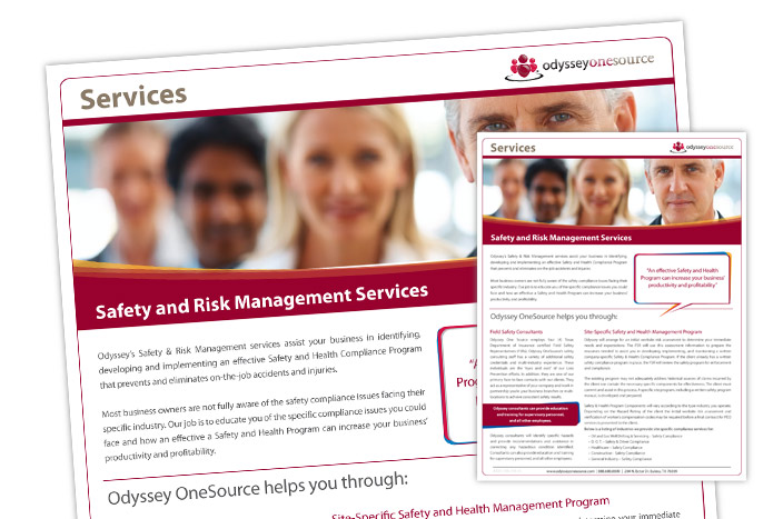 Data Sheet | Safety and Risk Management Services